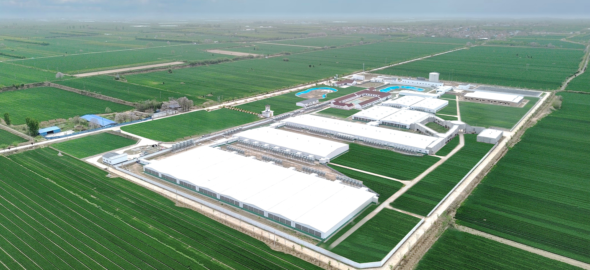 快(kuai)樂養(yang)豬(zhu)，亯受(shou)田(tian)園